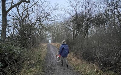 Where does your support network lie?