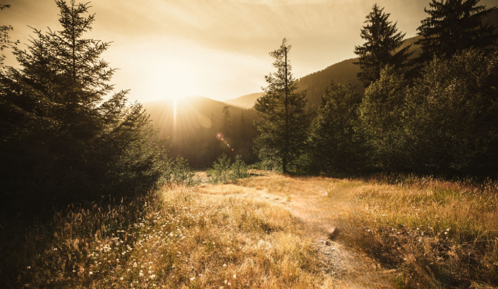 Child Inclusive Mediation on the road