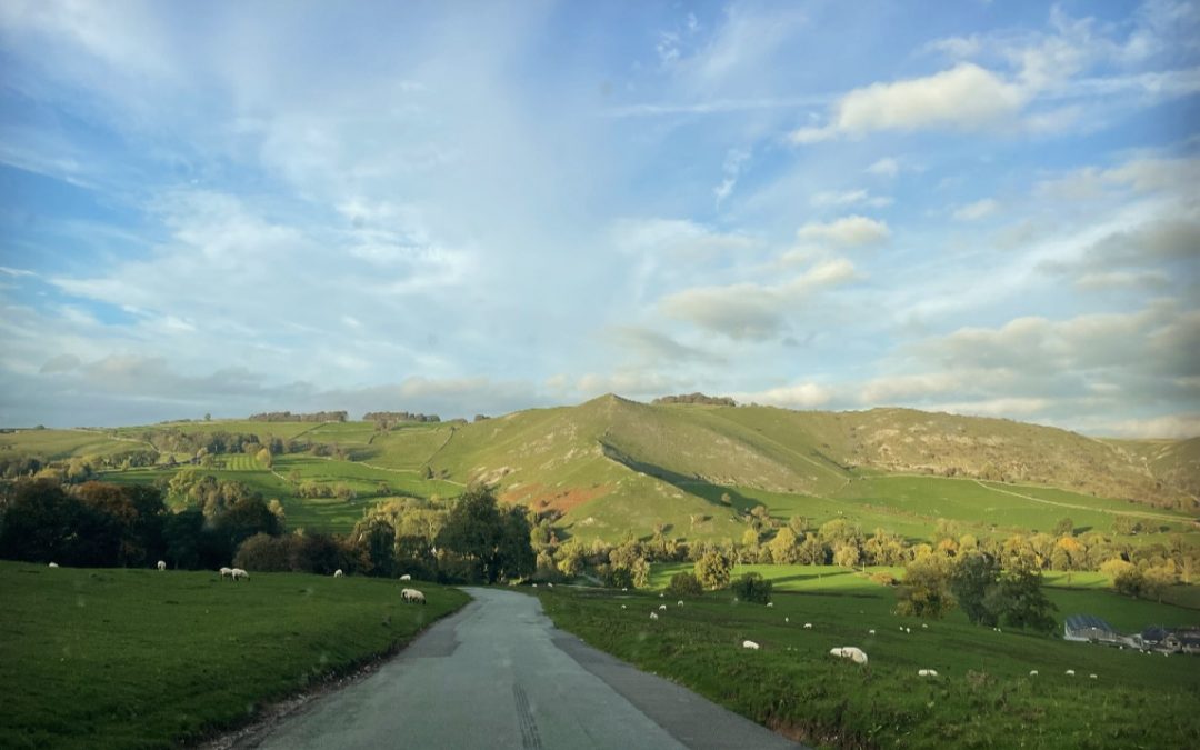 Sometimes the road leads you somewhere you didn’t know you needed to go 