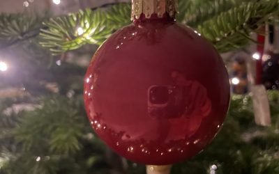 Creative Drought 🎄