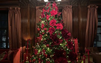 Evening of Fascinating Women